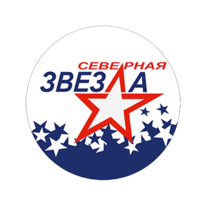 Северная звезда